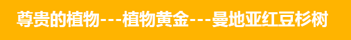 洛陽(yáng)寶諾重型機(jī)械有限公司